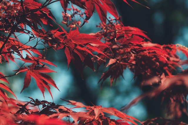 pdf加水印的方法 怎样在pdf上面加水印?新手操作指南