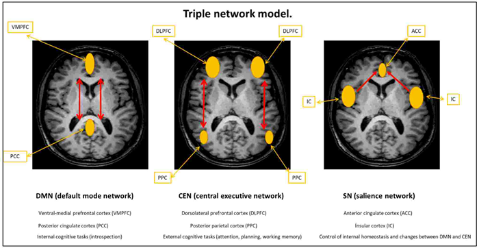 论文检测免费查重平台哪个好？进行论文查重要注意什么？