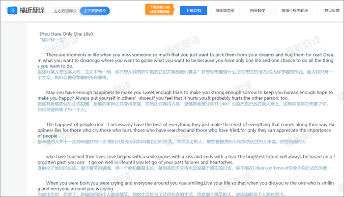 文档翻译注意事项有哪些