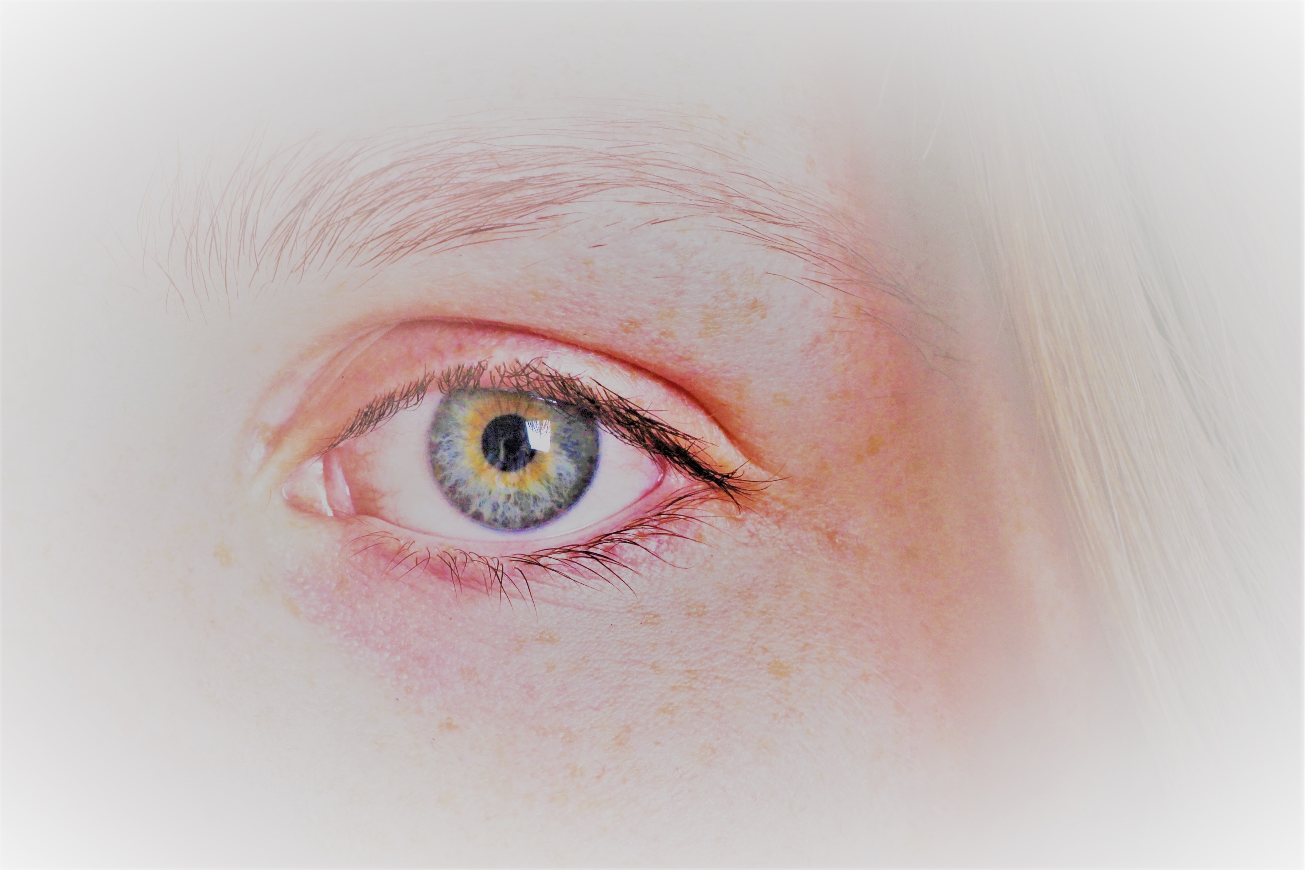 pdf文本内容怎么导出