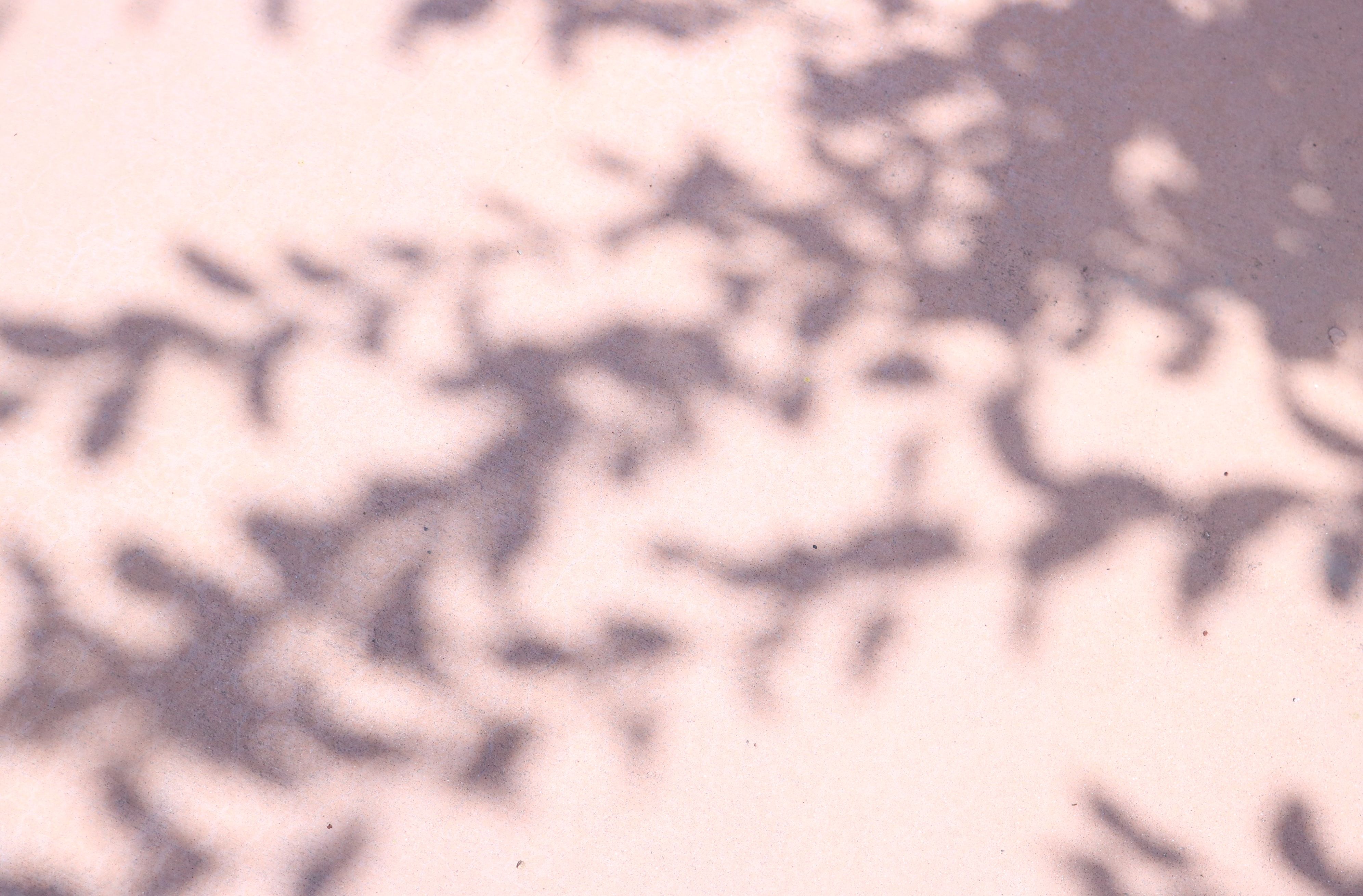 英文pdf翻译成中文的操作步骤是什么