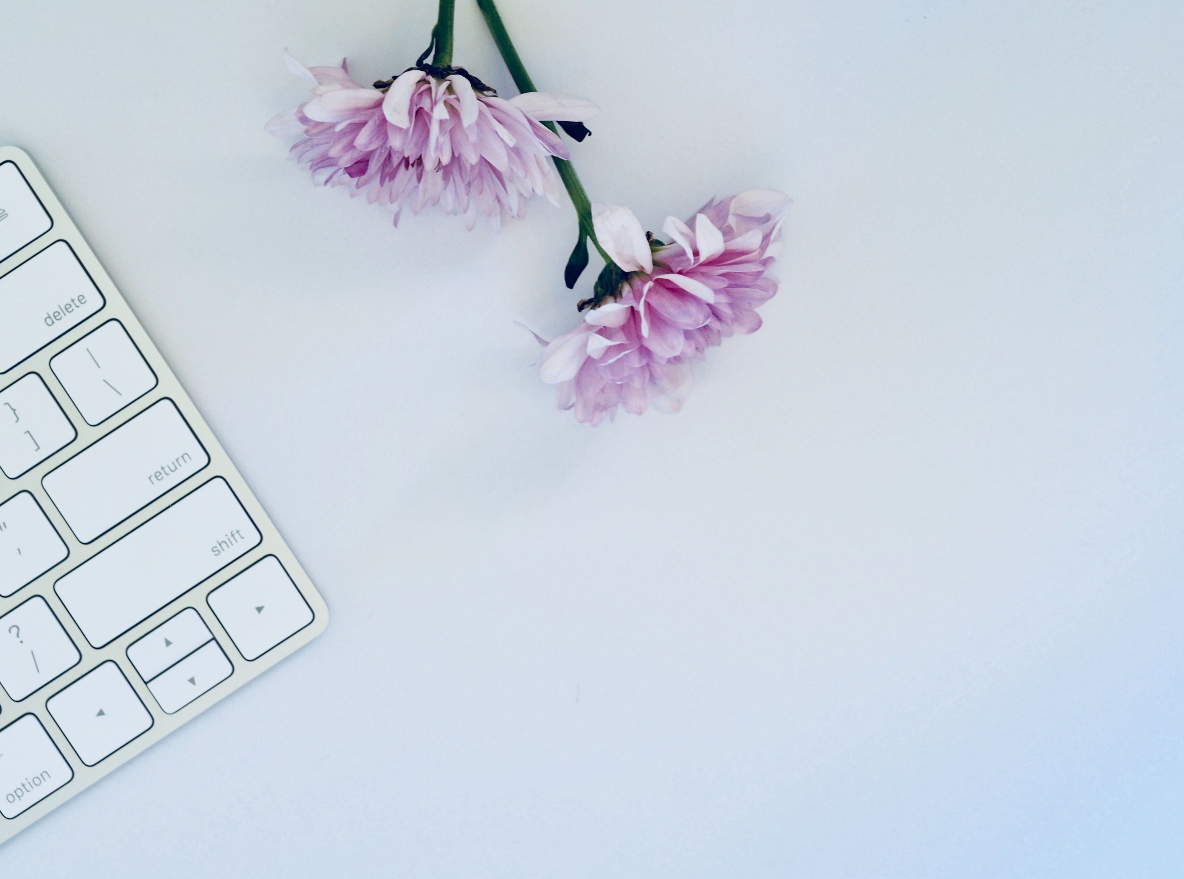 pdf转word很难吗?“秘密武器”帮你搞定