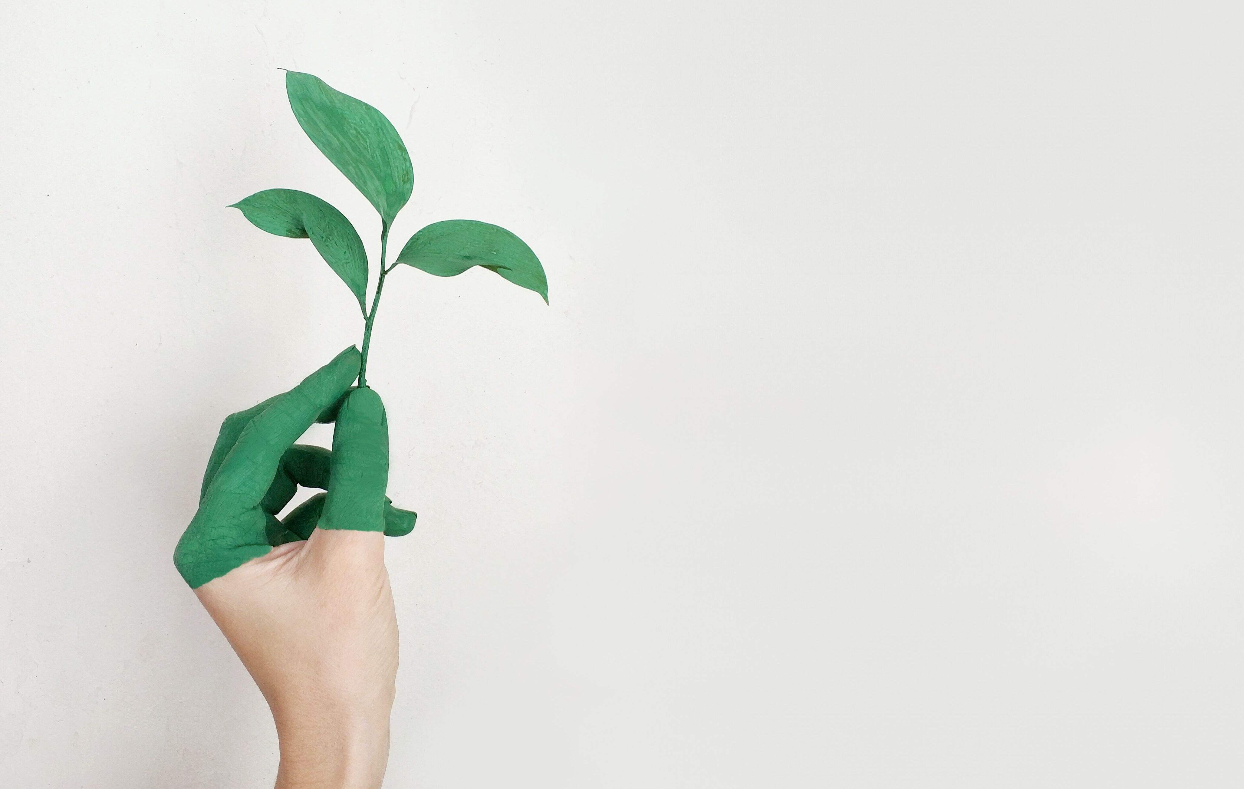 pdf阅读器音频怎么插入?如何对PDF中的文字进行修改?