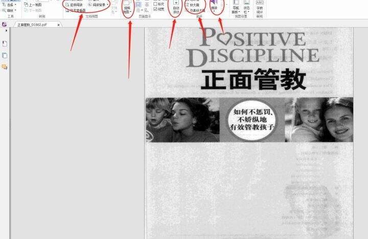 pdf阅读器不能高亮什么原因
