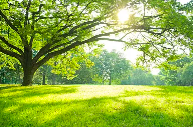 pdf是什么,pdf的优点,pdf文档修改器推荐