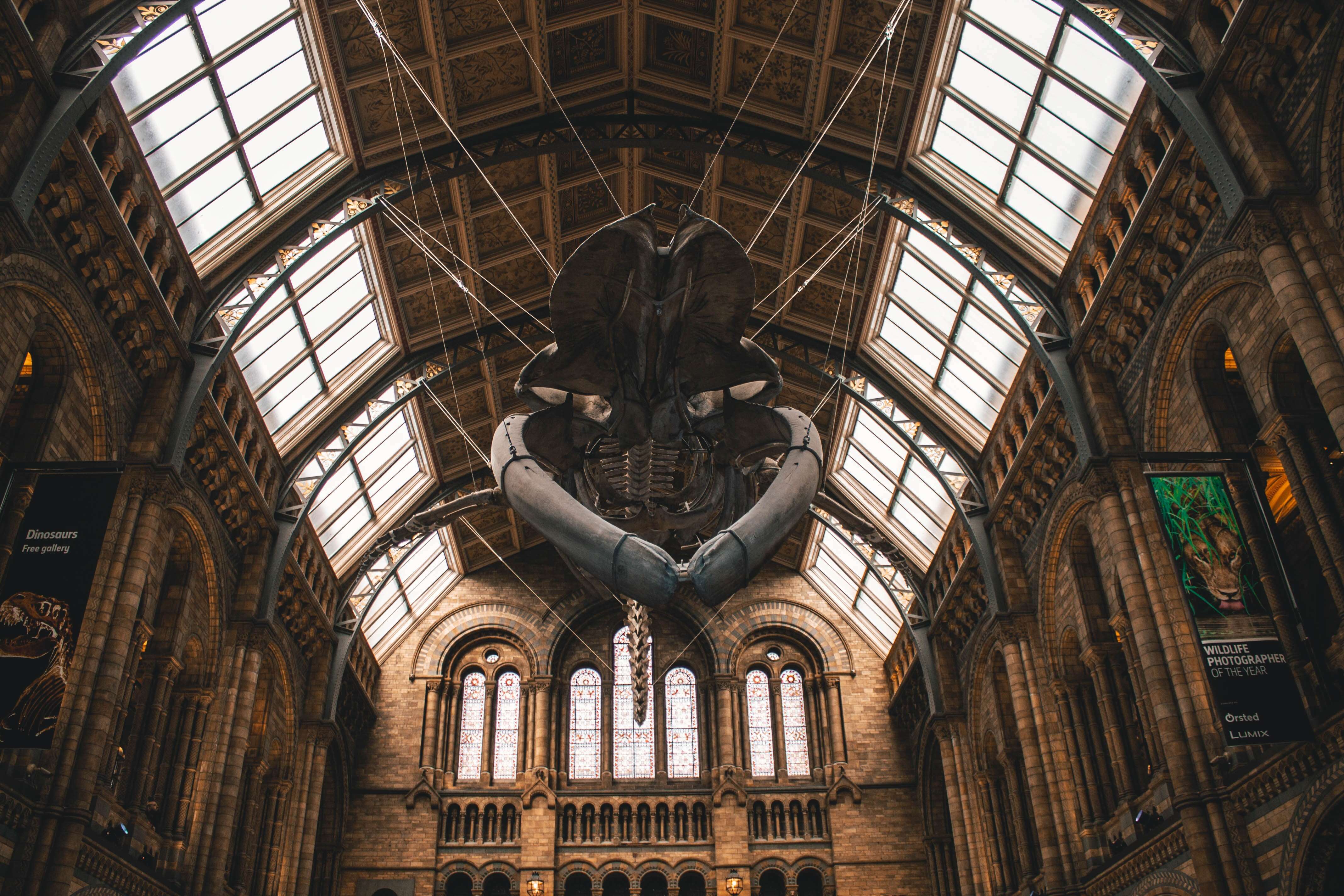 PDF文档中也可以插入日期!今天就跟着小编一起学习吧~