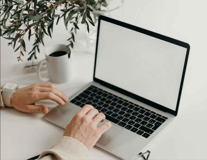 Mac版PDF背景替换