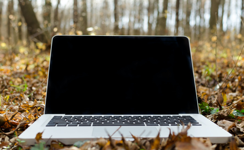 轻松一键添加了页眉和页脚