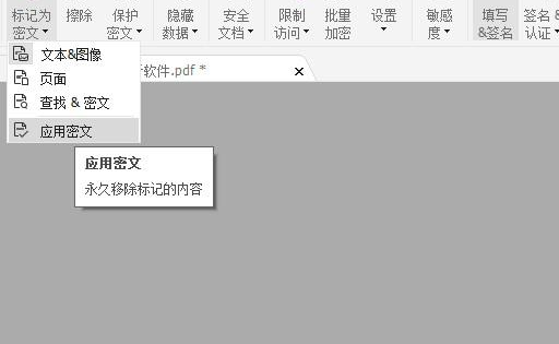 pdf 标记密文