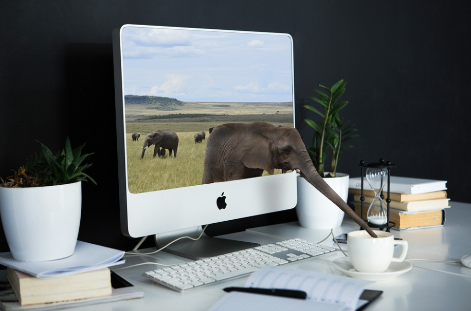 高级PDF编辑器有哪些实用小技巧？