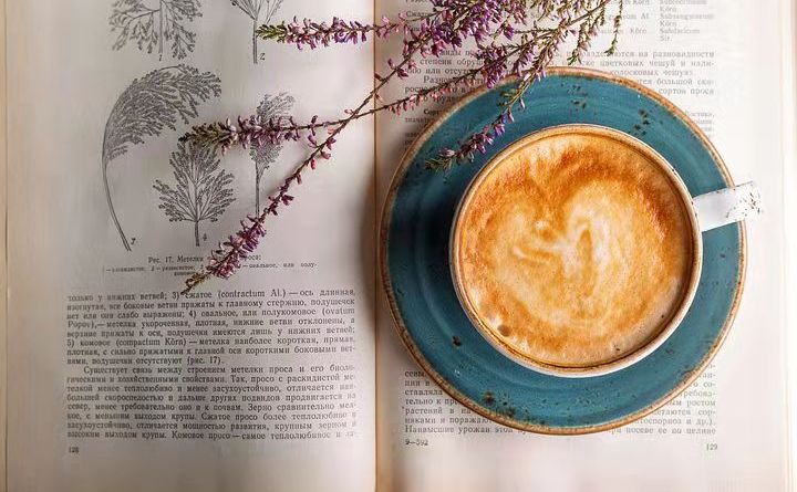 高级PDF编辑器技术要点，pdf在线转JPG的方法