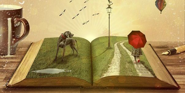 pdf编辑中对象工具栏不能用