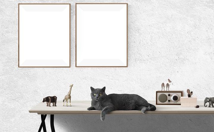 pdf转换器下载免费版