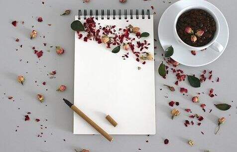 杂志pdf免费下载