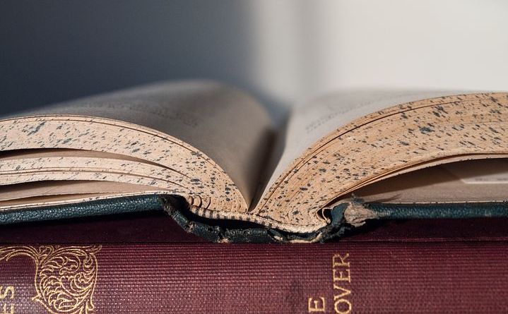 免费pdf转word 软件