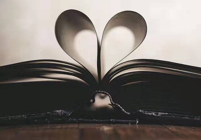 pdf to word 免费的转换方法有什么?不试试高级PDF编辑器吗?