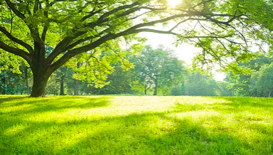 在线pdf编辑器免费版