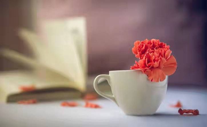 pdf编辑工具使用方法