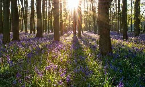 最强pdf编辑工具