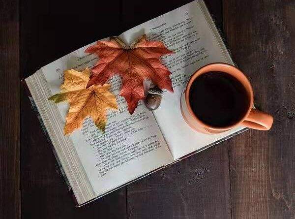 pdf编辑工具哪个没有水印 高级PDF编辑器怎样去除水印