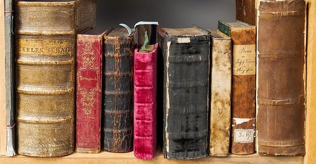 pdf编辑器使用文本编辑工具