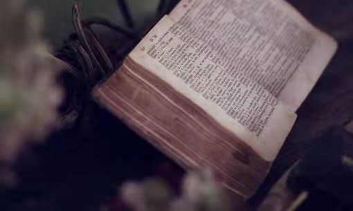 高级PDF编辑器有哪些功能?怎么在电脑上安装?