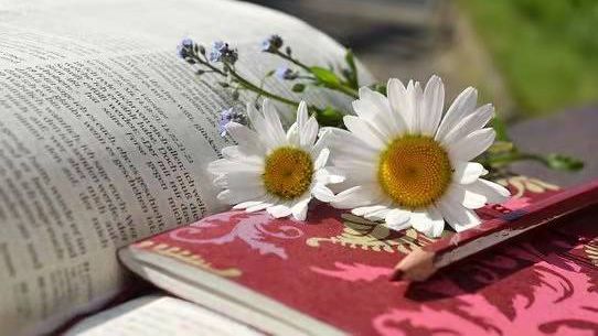 破解版pdf编辑工具