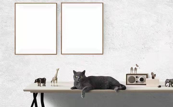 文本工具编辑pdf显示没有字体