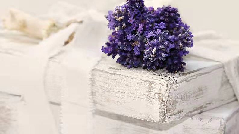  用什么工具编辑pdf上传