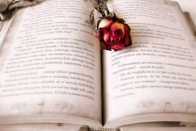 pdf编辑工具叫什么