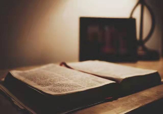 pdf编辑器擦除工具无法使用