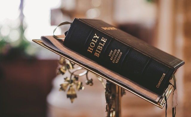 如何删除pdf里的页面？高级PDF编辑器怎么编辑页面？