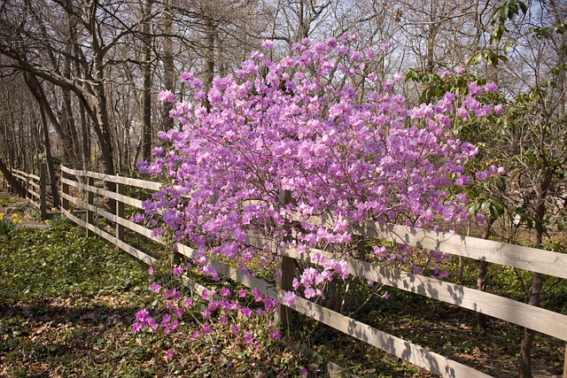如何让pdf的部分区域高亮呢？试试高级PDF编辑器吧！