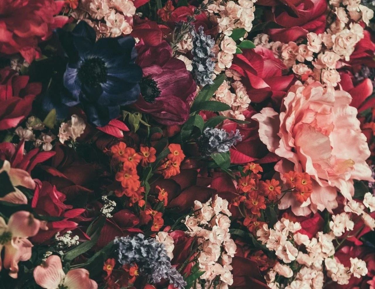 推荐好用的免费无水印pdf编辑器，pdf编辑器怎么删除水印？