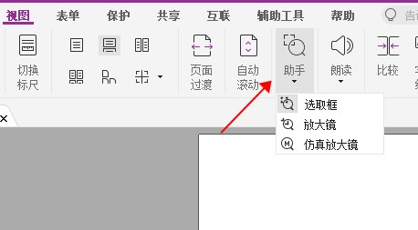 想要查看PDF文档细节?这个放大镜功能你肯定需要!