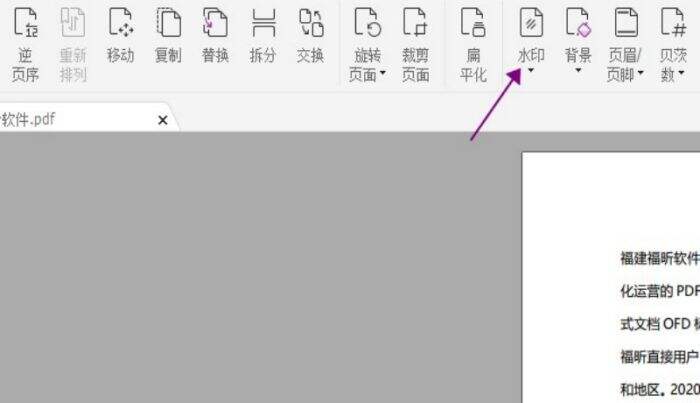 PDF编辑器去水印