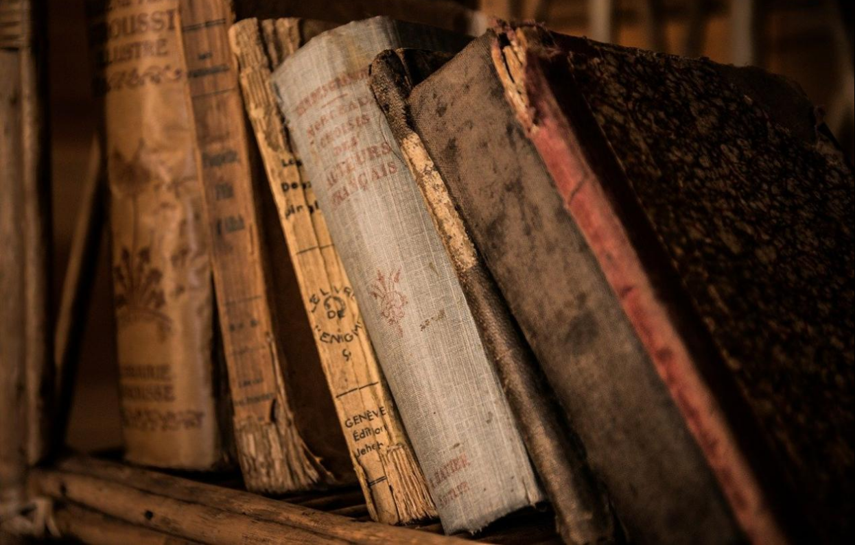 阅读PDF文档过程中，如何翻译PDF文档外文部分？