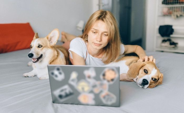 如何批量给pdf加水印？方法给你，快来掌握！