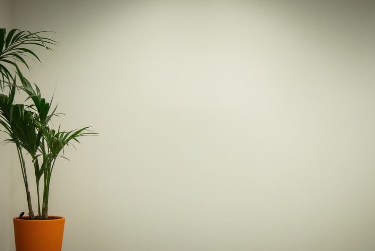 如何查看PDF文档里网络连接？查看PDF文档里网络连接教程！