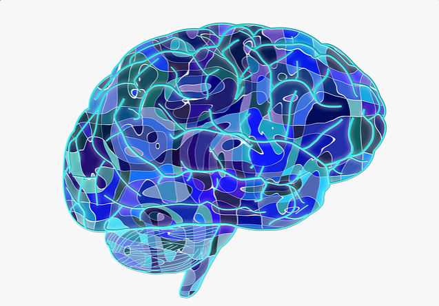 PDF里可以计算周长吗?PDF如何计算周长?