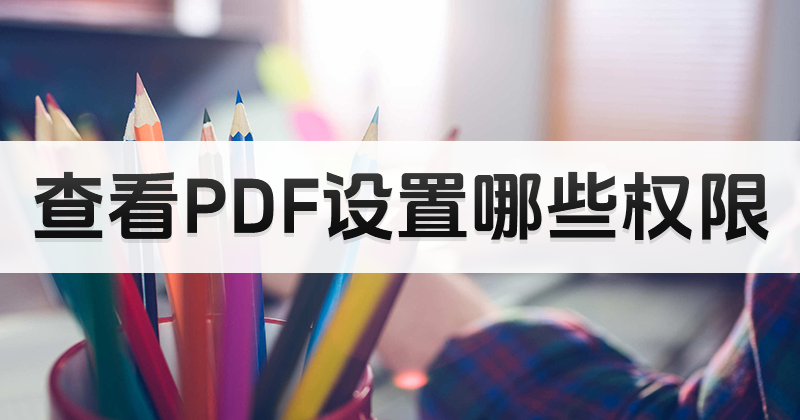 哪个PDF阅读器功能全面?怎么查看PDF设置哪些权限?