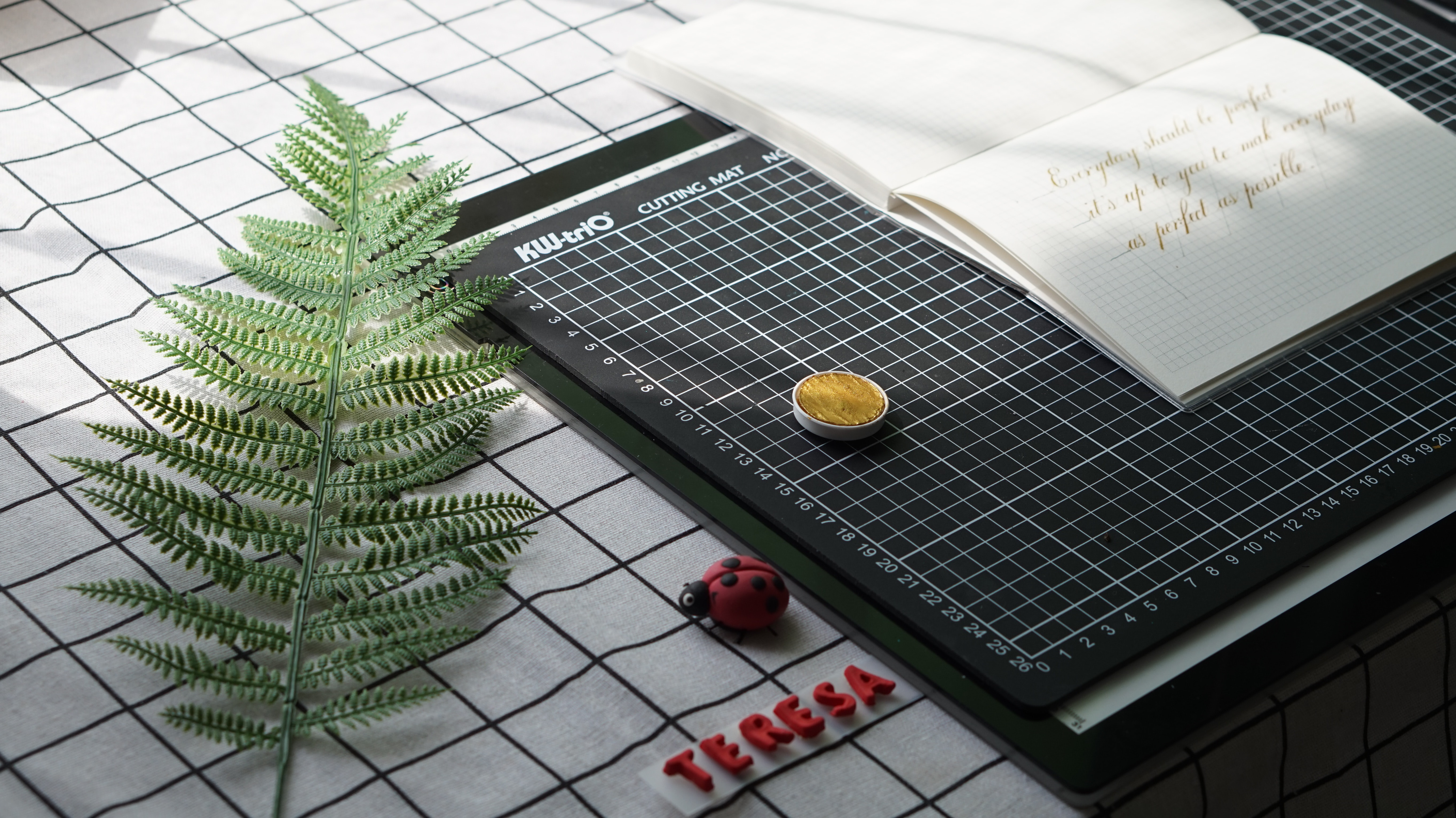 视频下载受限？新手也会的高招看这里！